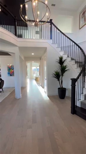 Classic | Elegant Design Ideas