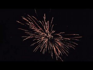 Pyro Predator 5" Canister Shells by Pyro Predator