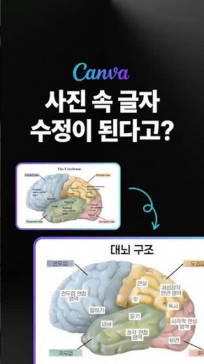 ⭐️캔바로 이미지에 있는 텍스트 손쉽게 추출하기 (자동번역 됨!!) #캔바 #이미지편집 #자동번역