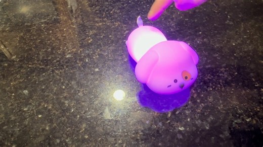 Watch Cutest Dog Night Light Lamps for All Ages on Amazon Live