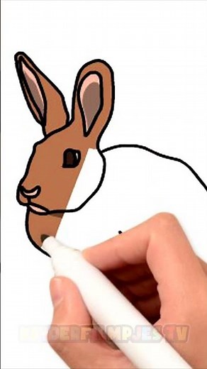 Hoe Teken Je Een Konijn? 🎨 | Leren Tekenen |
