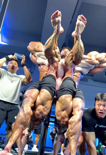 Ultimate Muscle Building Workout Routine