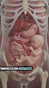 What Happens If the Umbilical Cord Stops Working? 😨 | 3D Medical Animation