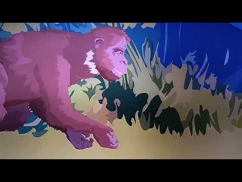 Adansonia vs Sivapithecus | Plants Animation