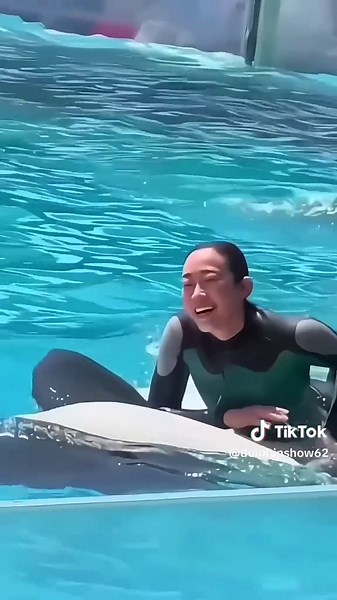 The Exciting Dolphin Show You Must See