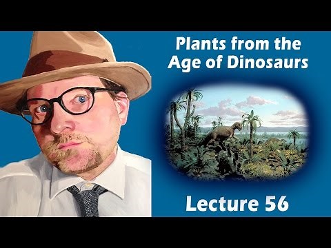 What did Plants look like during the Age of Dinosaurs?