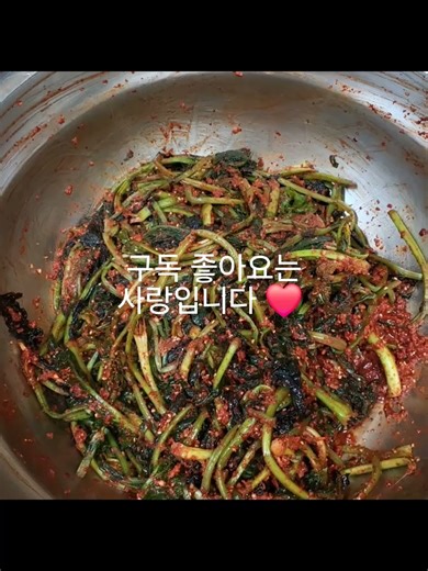 #찐이야#김장하기#부자된느낌#올겨울김장끝 #담벼락꾸미기