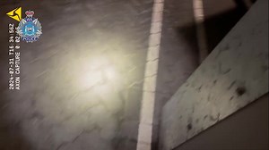 44K views · 393 reactions | Gang Crime Squad officers have charged 11...