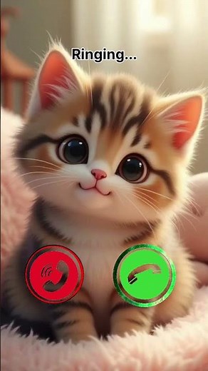 Hello Moto 😎😎📱📲 #memes #ringtone #timer #funny #ringtones #irringtone