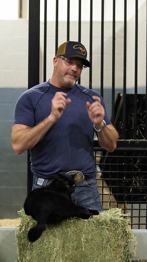 We’re excited about Standlee Premium Western Forage’s Timothy Grass Mini Cubes 🌿 All the premium nutrition of sun-cured Timothy hay in a smaller, easy-to-chew cube! Perfect for: • Overweight horses and easy-keepers • Horses with dental issues • Growing horses Why we love them: • Easy to chew • Lower in calories and sugar to help maintain a healthy weight • Encourages natural chewing and saliva production to support digestion #standleeforage | Downunder Horsemanship