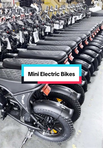 Mini Electric Bikes: Inside the Manufacturing Process