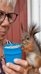 19K views · 528 reactions | She’s met many wild animals, but one holds a special place in her heart 殺️❤️ | Sharing is Caring | Facebook