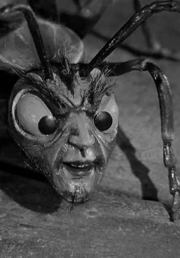 The Outer Limits S01:E14 - The Zanti Misfits