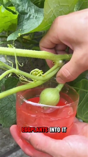 Amazing Inventions That Will Change Your Life