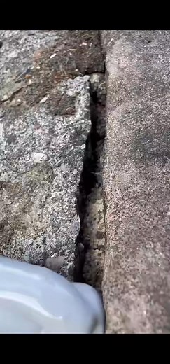 57K views · 218 reactions | Archi Republic Fixes Roof & Gutter Cracks FAST – Rain or Shine!#ArchiRepublic#ArchiRepublicSealant#WaterproofRepair#RoofRepair#DIYHomeFix | archi.vibe5 | Facebook