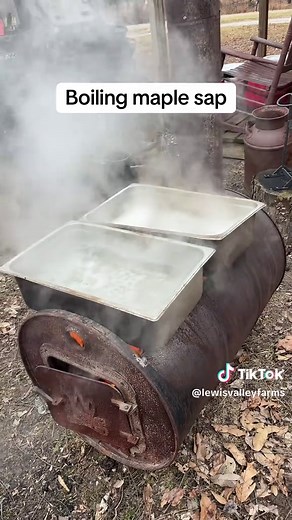 Making Maple Syrup: Boiling Sap Process Explained