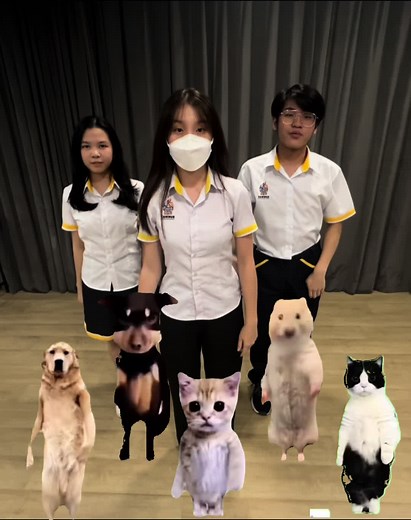 Animal Dancing Trend Videos Compilation 2021