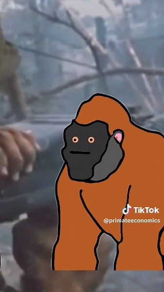 Monke Explains Stocks: Understanding Shares and Stocks