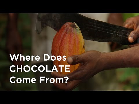 The Science Of Making Chocolate