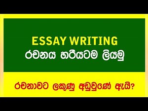 Essay writing | Essay | AL General English | OL English