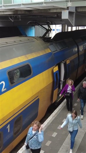 The Golden View of Dutch Railways 🇳🇱 #netherlands #train #travel