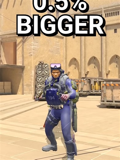 Big vs Small Models in Counter-Strike 2