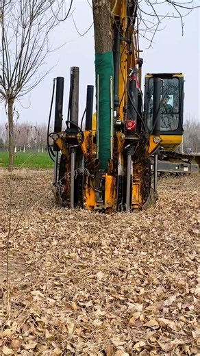 Ultimate Tree Digging Tool - Nursery Transplanting Made Easy