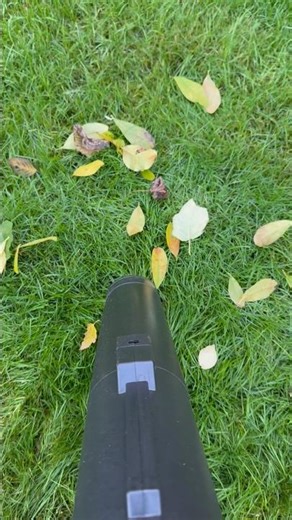 Leaf Vacuuming