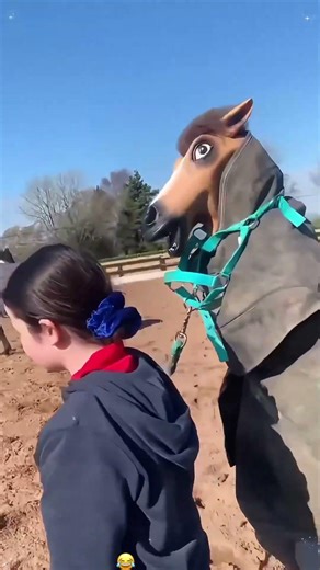 Funny Horse Costumes#gelding #horse #equestrian #horsesoftiktok #equinelife