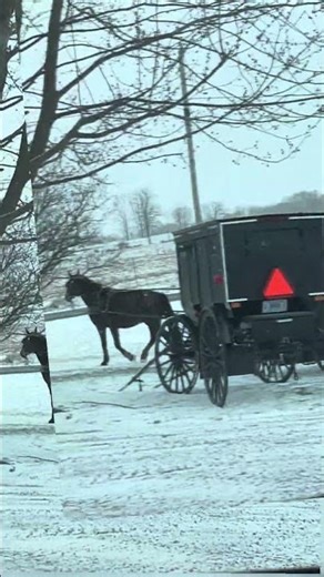 Amish garage sales in the snow!!!