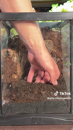 Creature Habitat Kit terrarium setup | Bioactive terrarium guide
