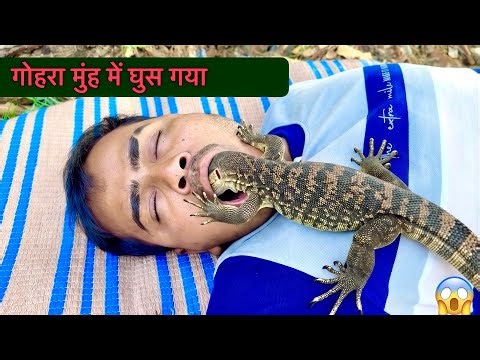 Monitor lizard surajkushwaha