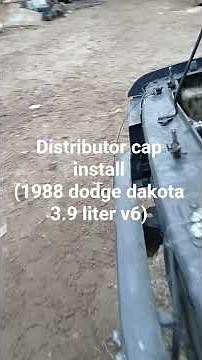 (1988 dodge dakota 3.9 liter v6) new distributor cap install
