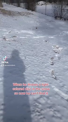 #dynamicdiscs #discgolf #fyp #rihanna