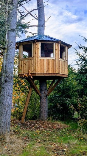 Pacific Northwest Hillbilly | Building a treehouse #diy #woodworking #treehouse | Instagram