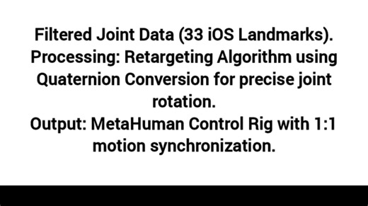 Biomechanical Motion Analysis & Technical Retargeting