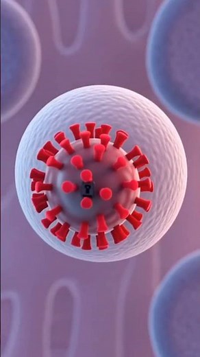 How Vaccines Work | Realistic 3D Human Anatomy Animation
