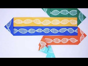 DNA Origami: How do you fold a genome?