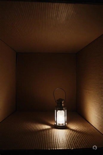 Inside a closed cardboard box