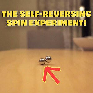 The Self-Reversing Spin Experiment! | The Action Lab