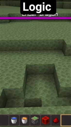 Minecraft End 😔😔😔#shorts #video #minecraft