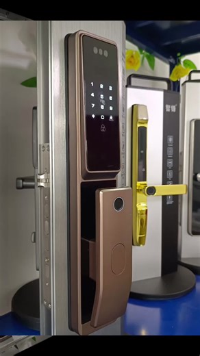 TT LOCK APP Intelligent lock camera monitoring face recognition intelligent lock. Manufacturers welcome