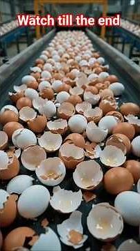 You Throw Away Eggshells... Factories See Something Valuable! 😱