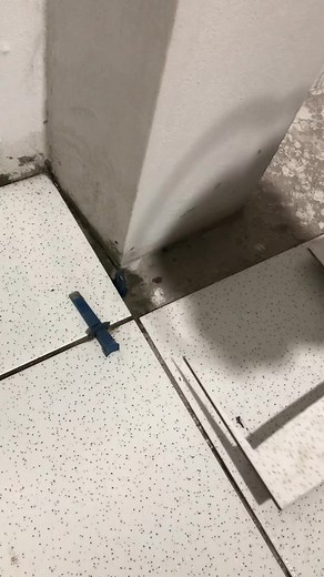 Effective Insect Control Techniques Indoors