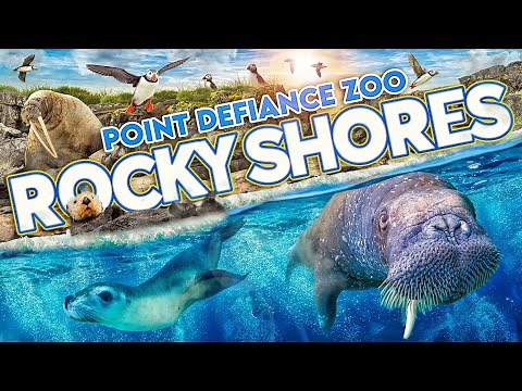 Zoo Tours: Rocky Shores | Point Defiance Zoo