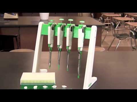 How To Use A Micropipet