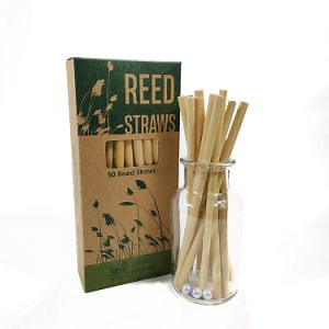 [Hot Item] Wheat Bottle Biodegradable Bamboo Boba Straw