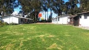 ELIGE LOS EJEMPLOS DE SOFTWARE