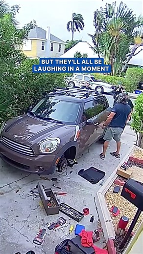 Parrot's 'screams' cause neighbors to call police