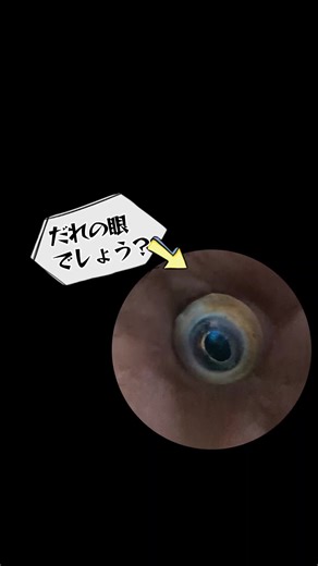 魚の眼の不思議と面白さ